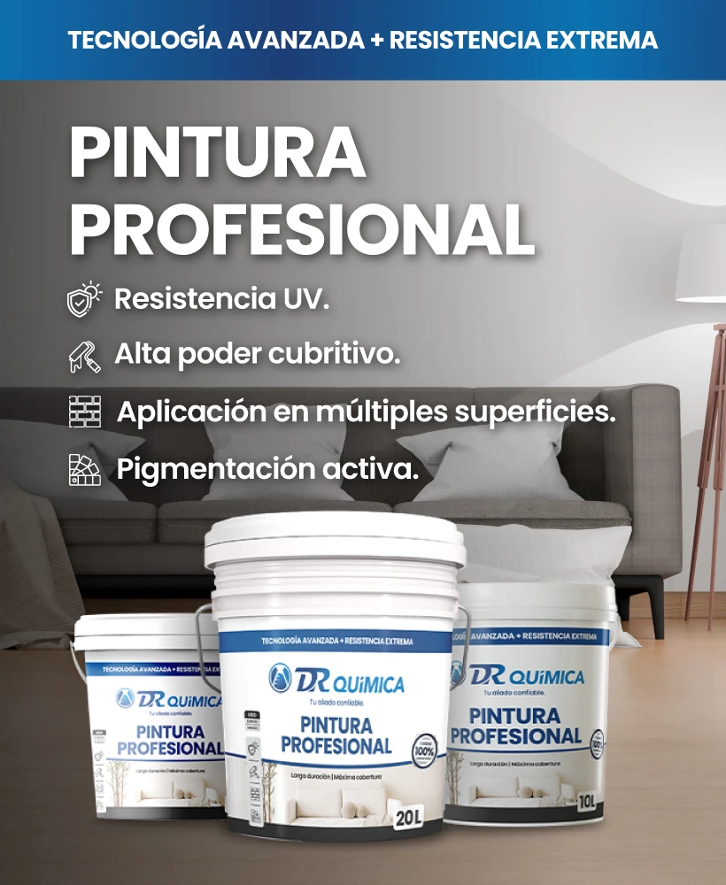 Pintura Profesional DR Química